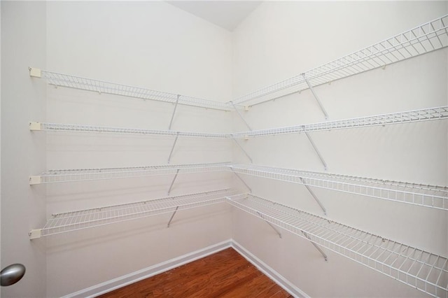 558 Olympic Way, Acworth, GA 30102 - view of pantry