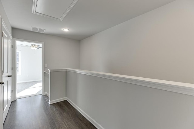 corridor featuring dark wood-type flooring