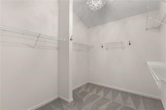 walk in closet with carpet flooring