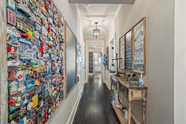 corridor with ornamental molding and dark hardwood / wood-style floors