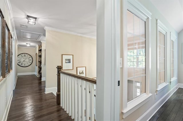 hall with crown molding and dark hardwood / wood-style floors