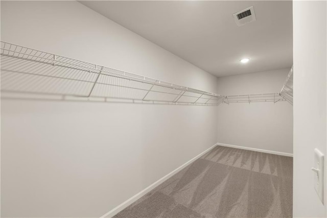 walk in closet with carpet floors