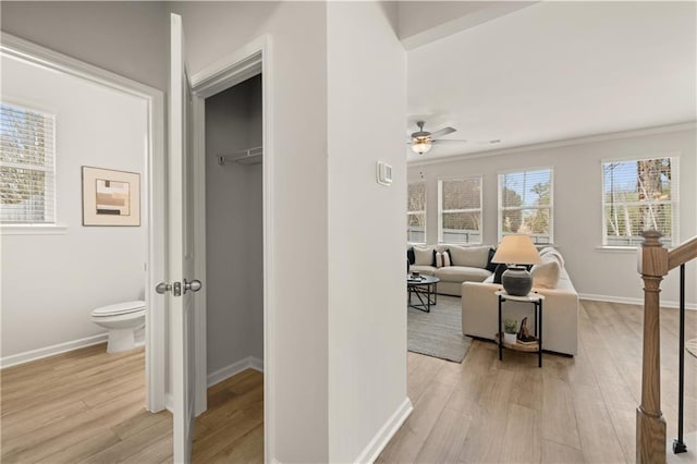 corridor with light wood-type flooring and ornamental molding