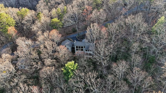 bird's eye view with a forest view