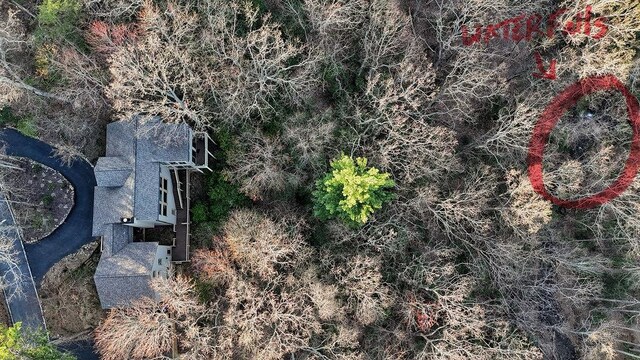 bird's eye view