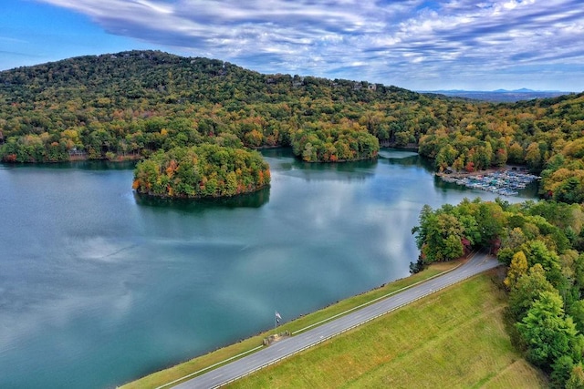 aerial view with a water view and a forest view