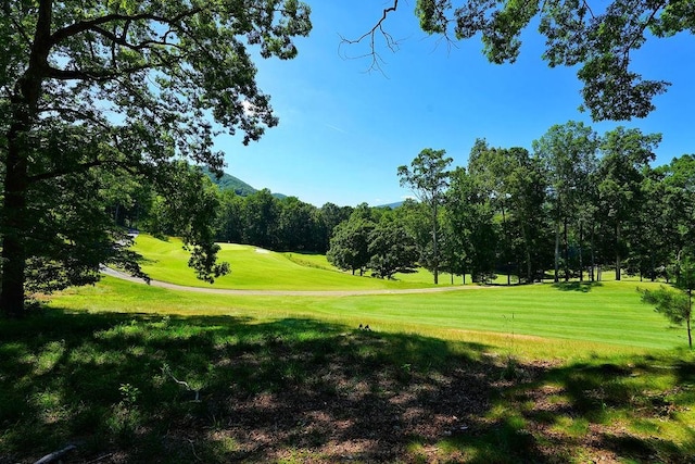 view of community featuring a lawn
