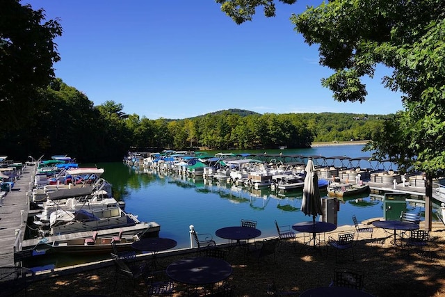 view of dock with a water view and a view of trees