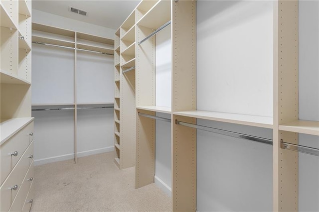 spacious closet featuring light colored carpet