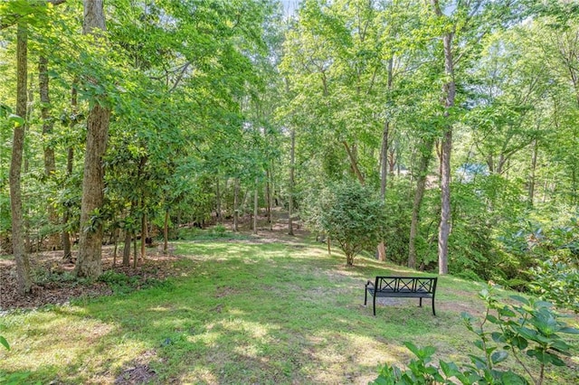view of grassy yard