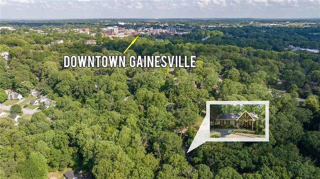 drone / aerial view of a heavily wooded area