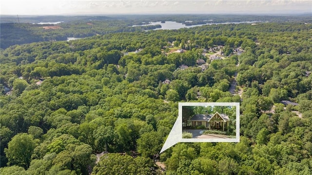 bird's eye view of a heavily wooded area