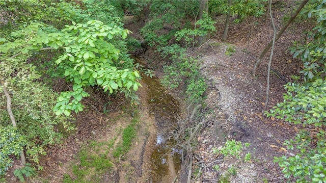 view of nature