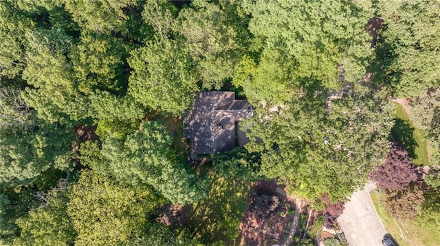 view of property location with a heavily wooded area