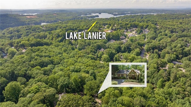 drone / aerial view of a forest