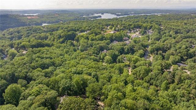 drone / aerial view of a heavily wooded area