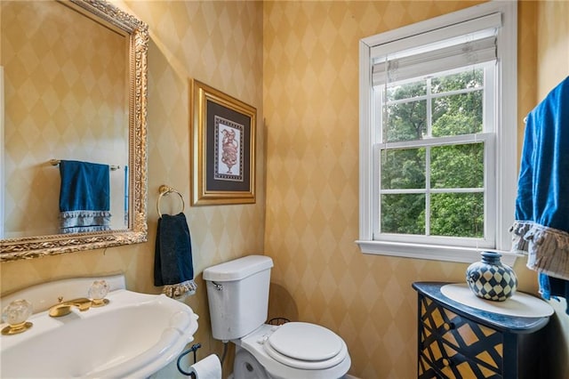 1360 Woodvine Way, Alpharetta, GA 30005 - bathroom with a sink, healthy amount of natural light, toilet, and wallpapered walls
