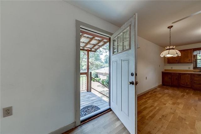 doorway to outside featuring light hardwood / wood-style flooring and plenty of natural light