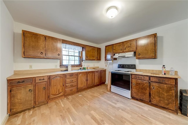 kitchen with light hardwood / wood-style flooring, white electric stove, and sink