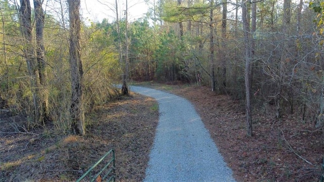 Listing photo 3 for W Highway 136, Talking Rock GA 30175