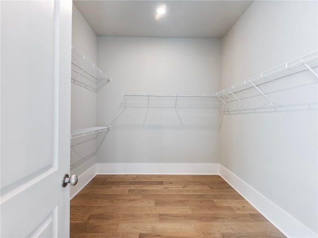 spacious closet with wood-type flooring