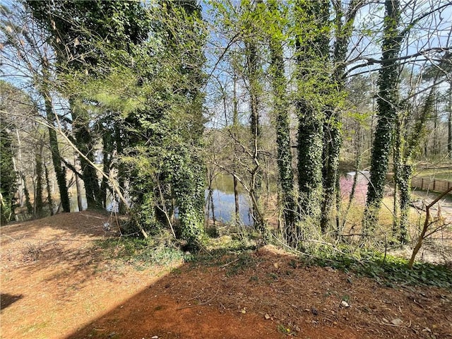1374 To Lani Farm Rd, Stone Mountain, GA 30083 - view of local wilderness featuring a water view