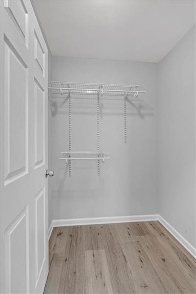 walk in closet featuring wood finished floors