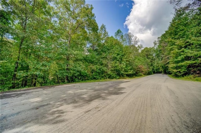 Listing photo 3 for 910 Issi Run, Big Canoe GA 30143