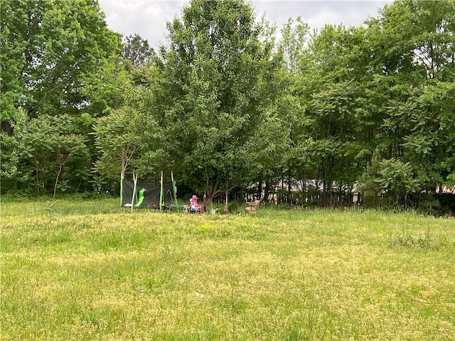 6192 Meadowbrook Dr, Norcross, GA 30093 - view of yard