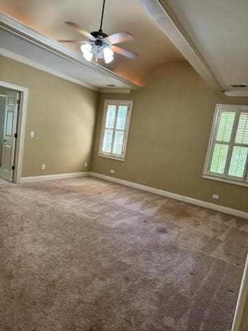 spare room with carpet, plenty of natural light, ceiling fan, and ornamental molding