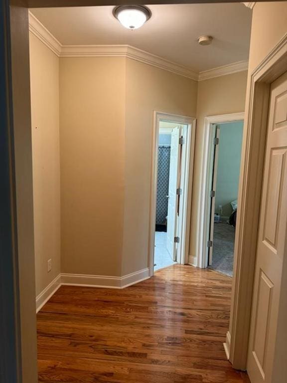 corridor featuring dark hardwood / wood-style flooring and crown molding