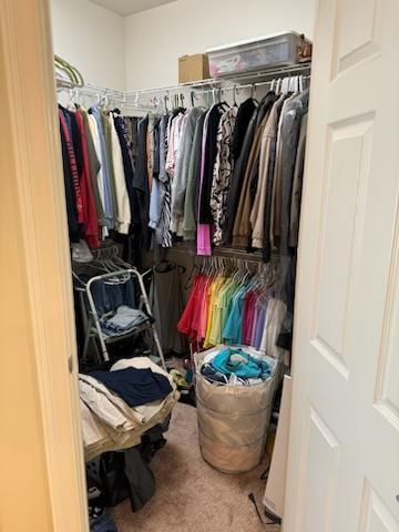 spacious closet with carpet floors