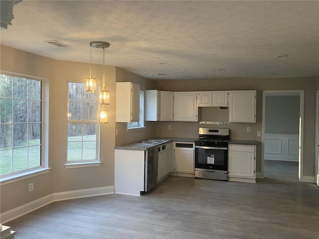 kitchen with hanging light fixtures, white cabinets, appliances with stainless steel finishes, and wood finished floors