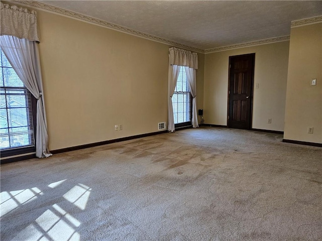 carpeted empty room featuring ornamental molding and a textured ceiling