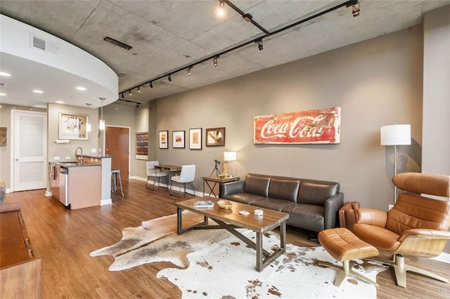 living room with hardwood / wood-style floors and sink