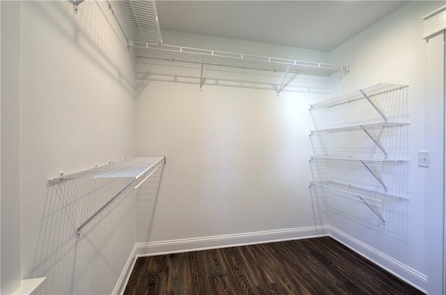 spacious closet featuring wood-type flooring