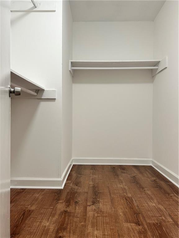 spacious closet featuring dark hardwood / wood-style flooring