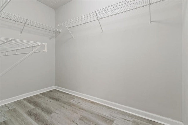 walk in closet with wood finished floors