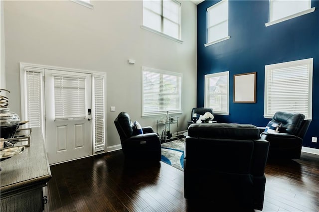 133 Canal St, Hampton, GA 30228 - living area with a towering ceiling, hardwood / wood-style floors, baseboards, and plenty of natural light