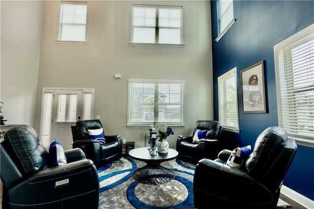 133 Canal St, Hampton, GA 30228 - living room with a high ceiling and healthy amount of natural light