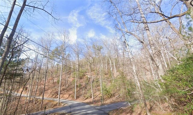 0 Brown Hawk Dr, Clayton, GA 30525
