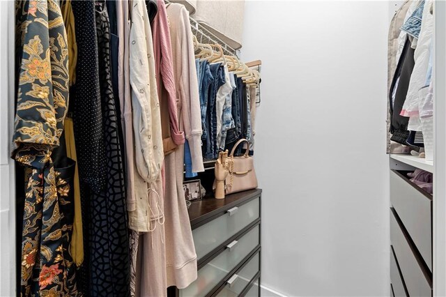 108 Vinings Forest Cir SE, Smyrna, GA 30080 - view of walk in closet