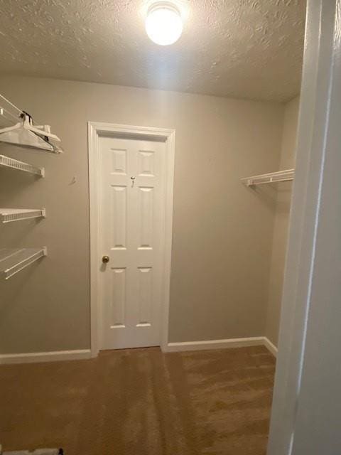 spacious closet with carpet flooring