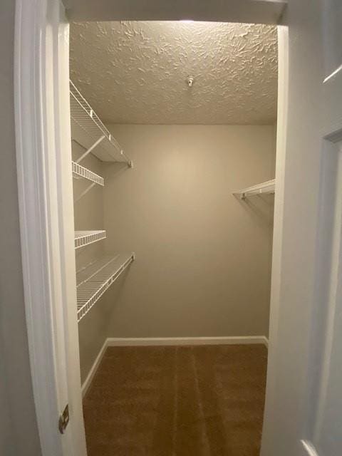 walk in closet with carpet