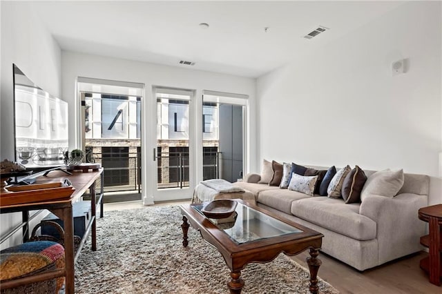 living room with hardwood / wood-style flooring