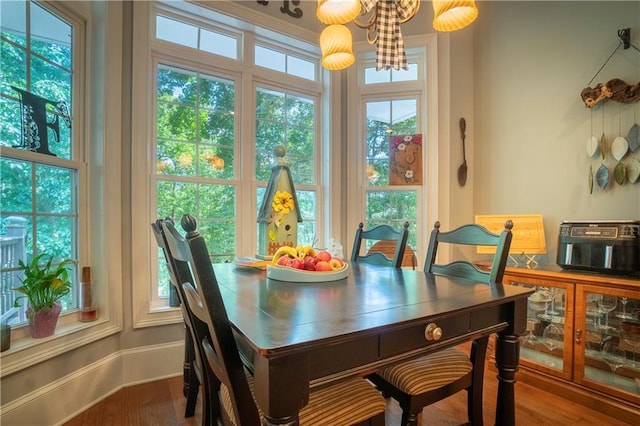 dining room featuring hardwood / wood-style flooring and a healthy amount of sunlight