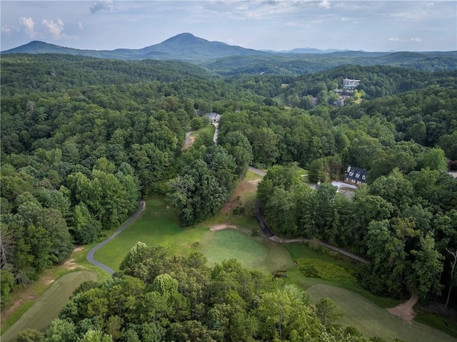 aerial view featuring a mountain view