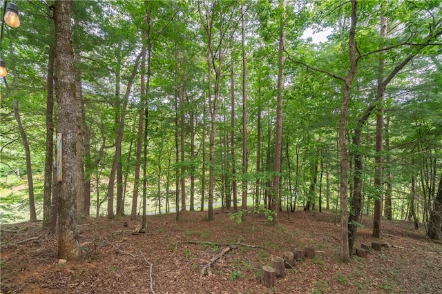 view of landscape