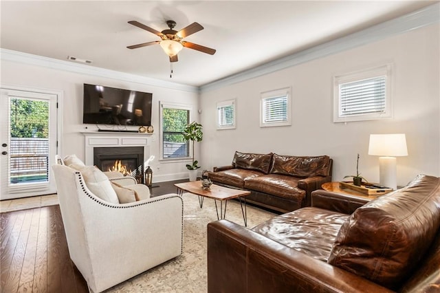 living room featuring a wealth of natural light, ceiling fan, hardwood / wood-style flooring, and crown molding