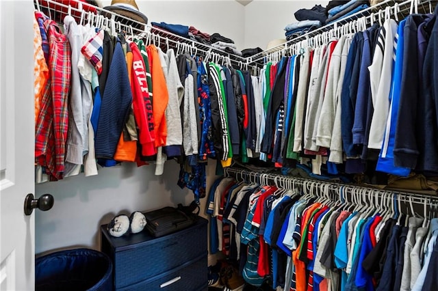 view of walk in closet